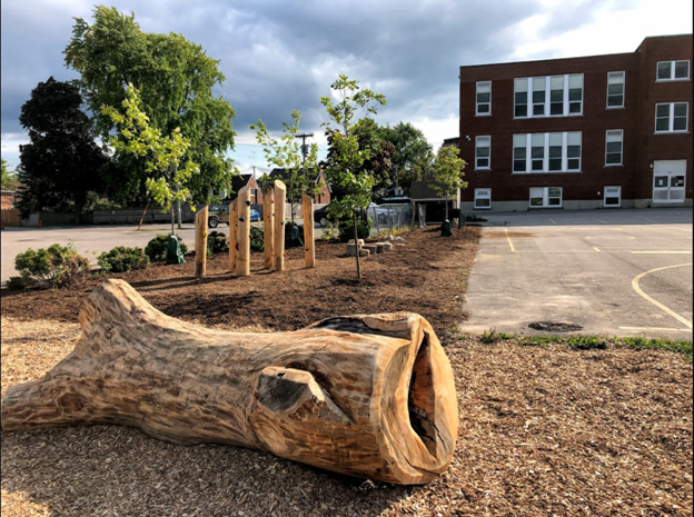 Sheppard Public School, Kitchener, ON, depaved by REEP Green Solutions, 2018