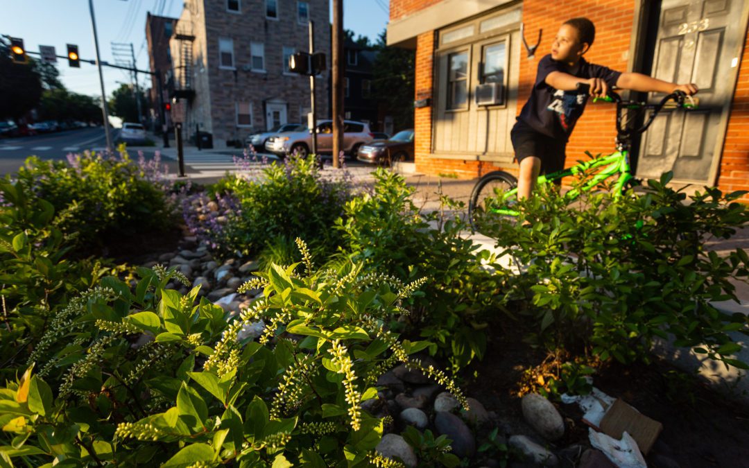 How green infrastructure can make our cities safer, healthier and more climate resilient