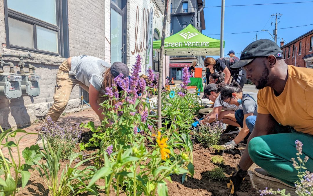 Volunteers planting at an event organized by Green Venture in Hamilton