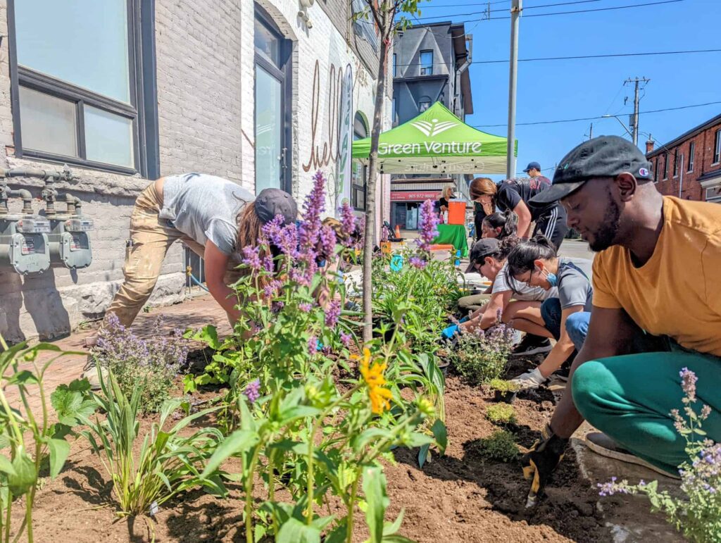 Volunteers planting at an event organized by Green Venture in Hamilton