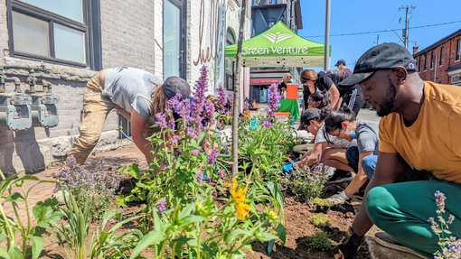 People working on creating green infrastructure in their community