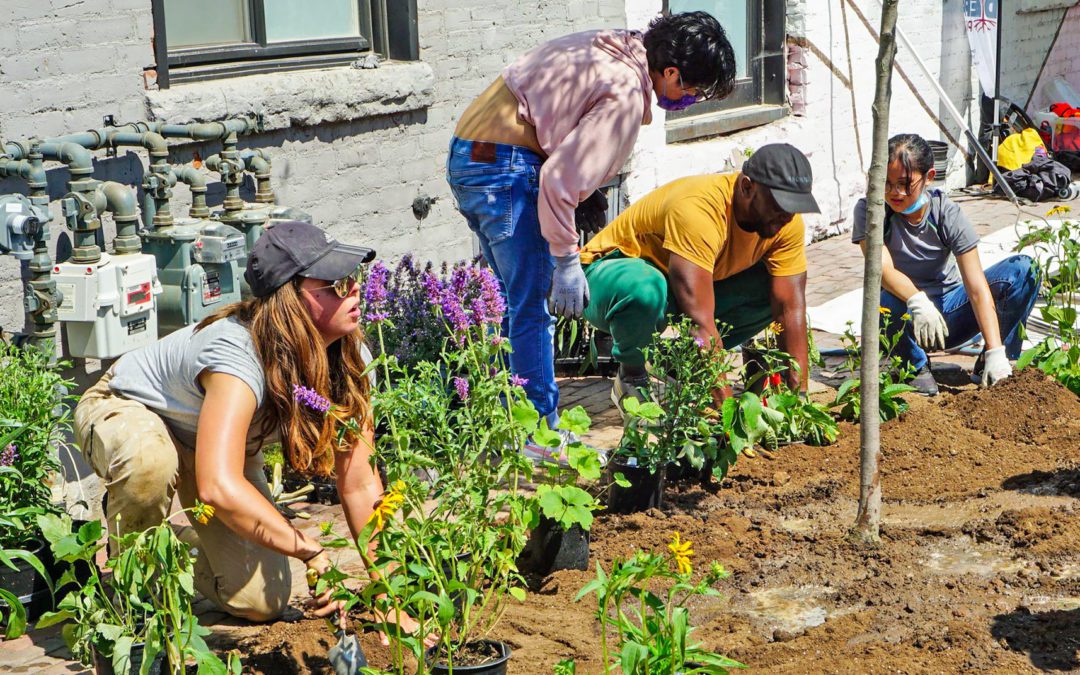 Green Communities Canada Receives $1M to Advance Equitable Green Infrastructure Projects Across Canada