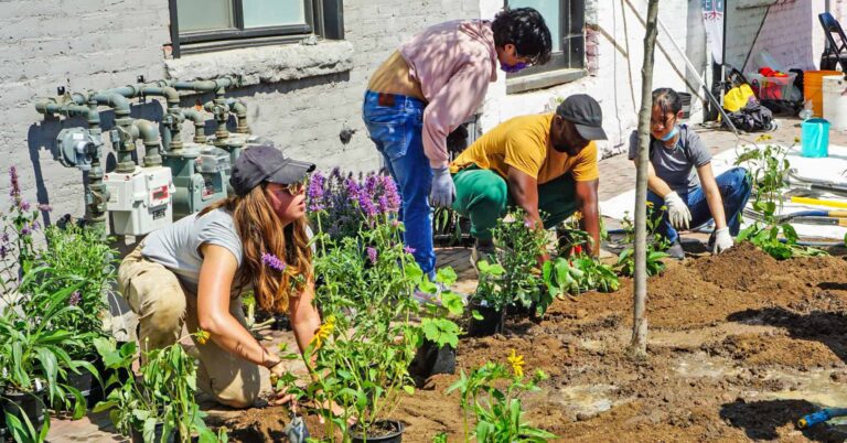 People engaged in planting a green space in a city