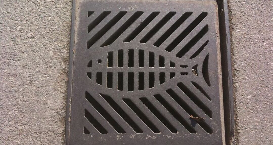 A stormwater drain with the symbol of a fish