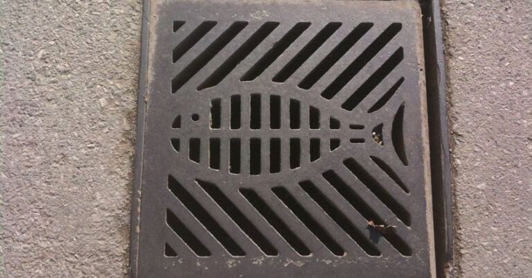 A stormwater drain with the symbol of a fish