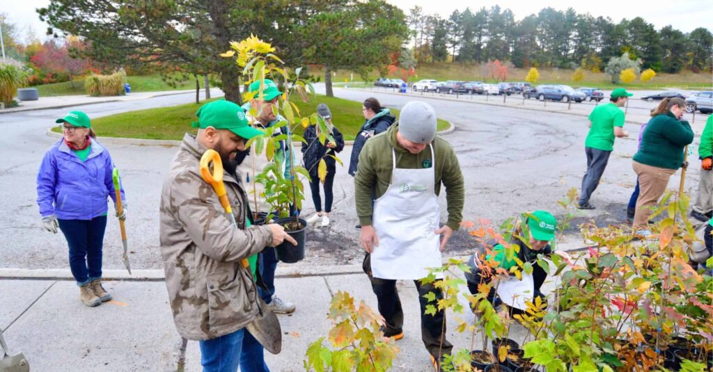 People preparing trees to plant a mini forest at Toronto Zoo