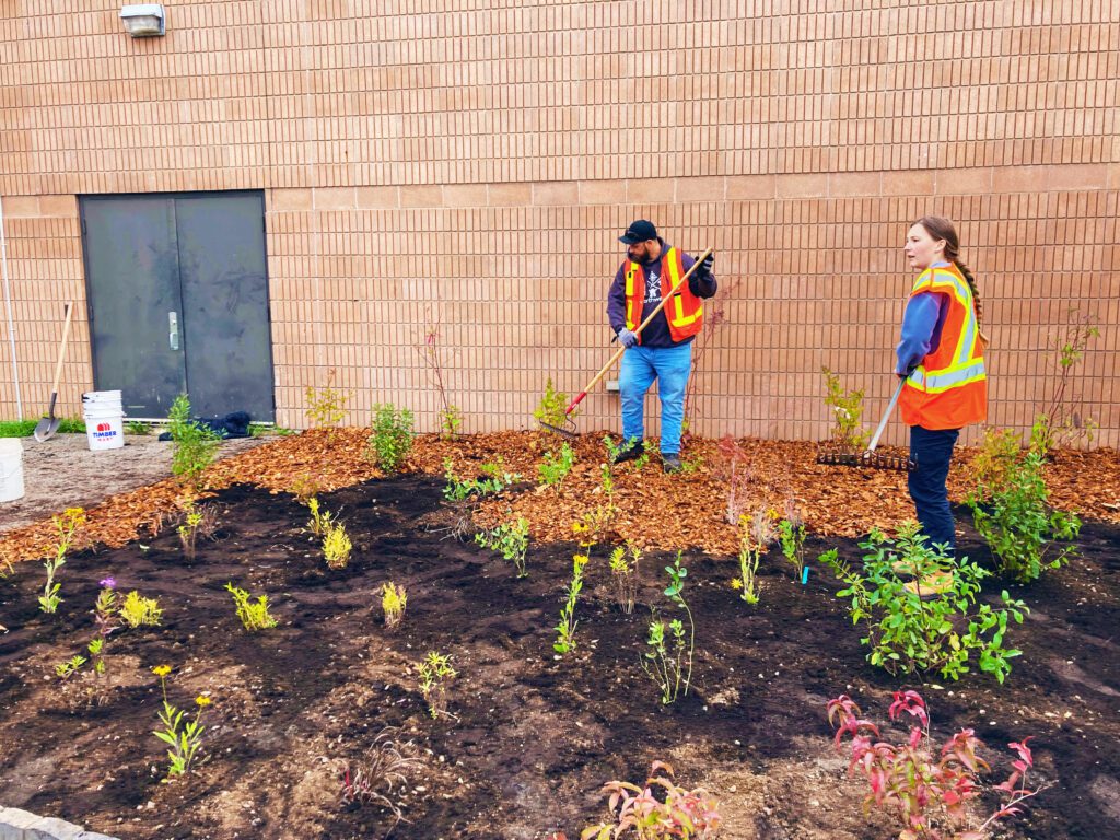 Volunteers engaged in a planting event organized by Ecosuperior through the Depave Paradise program 
