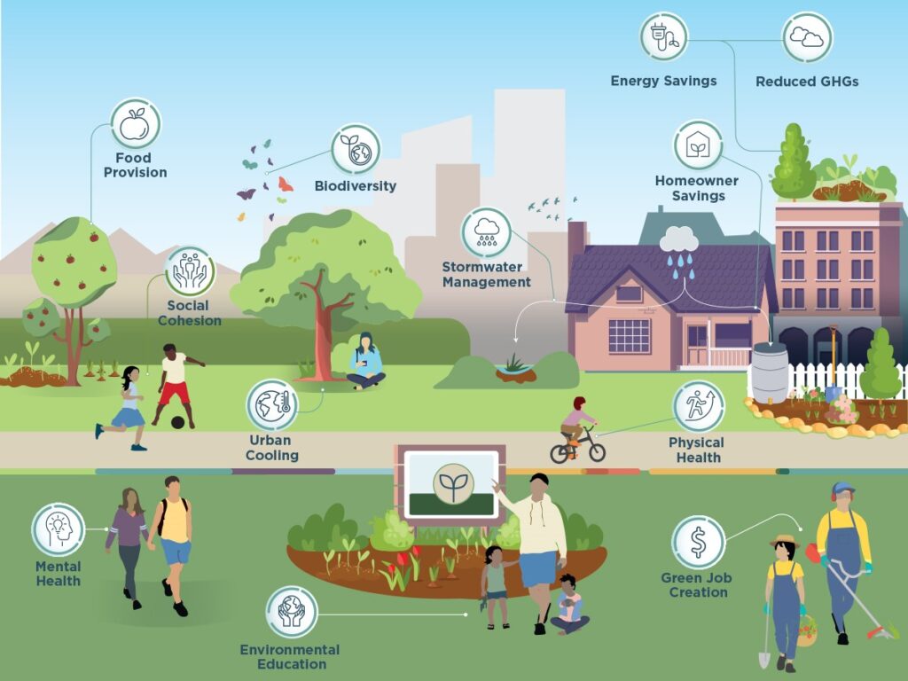 Infographic showing people in a green community explaining the benefits of green infrastructure including food provision, biodiversity, energy savings, reduced GHG, homeowner savings, stormwater management, social cohesion, urban cooling, physical health, mental health and green job creation.v