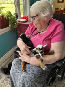 Image of Margaret holding baby goats in the comfort of the post-retrofit home environment.