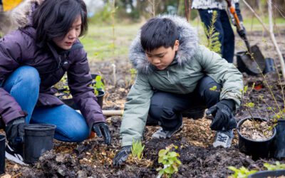 Transform Stream Projects Undertake Community Mapping to Implement Equitable Green Infrastructure