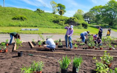 Living Cities Canada Fund Will Create New Green Spaces In 28 Communities in 2023-24