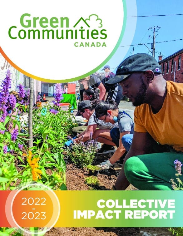 People crouched down planting flowers.