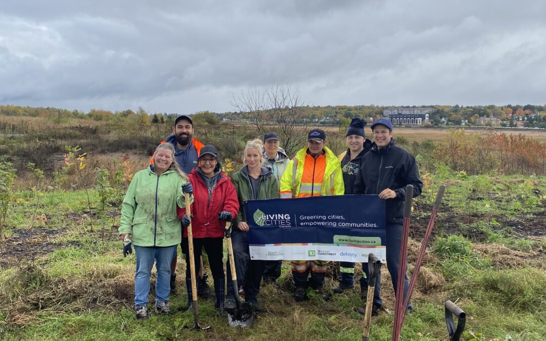 Fundy Biosphere Region Plants a New Mini Forest on a Former Landfill Site