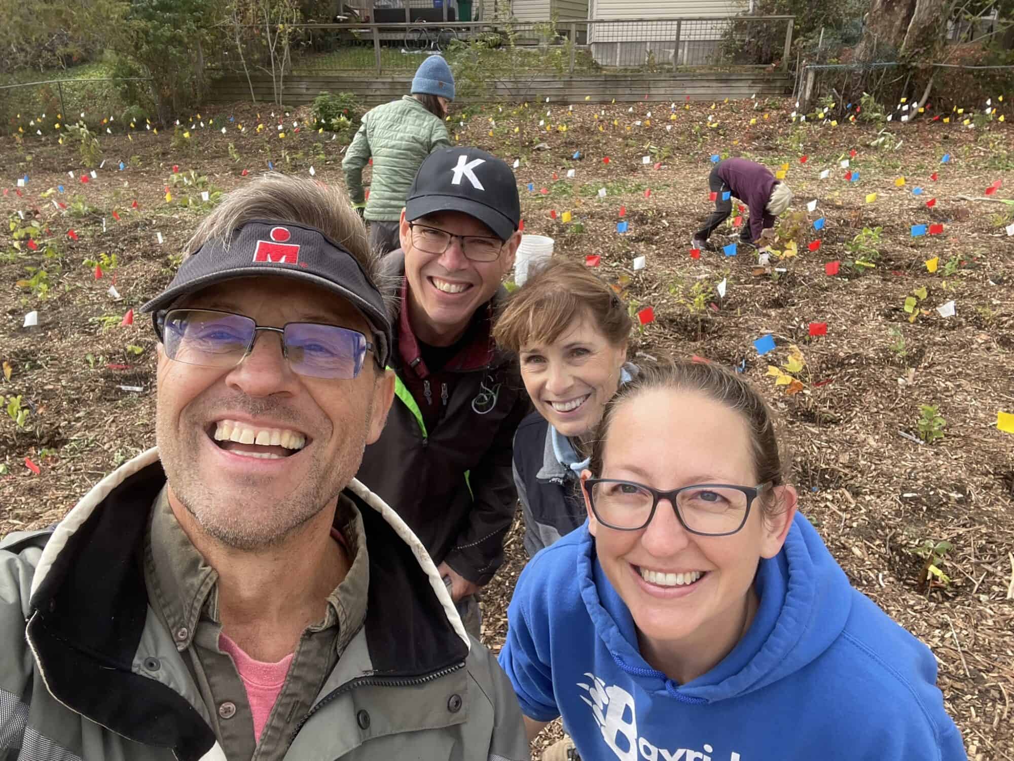 Little Forests Kingston Plants Three New Mini Forests at a Seniors ...