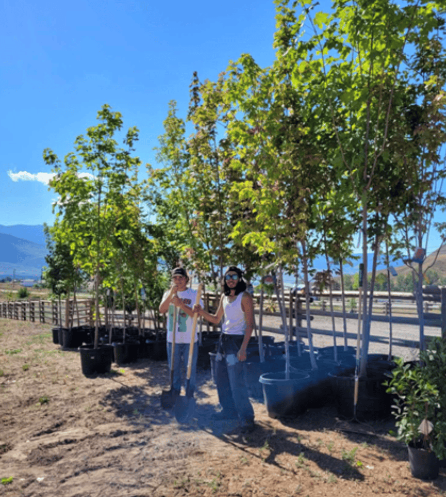 Ashcroft Indian Band regreens following wildfire losses - Green ...