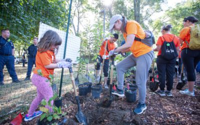 Toronto and Region Conservation Authority (TRCA) installs a new mini forest in the Pocket SNAP Neighbourhood