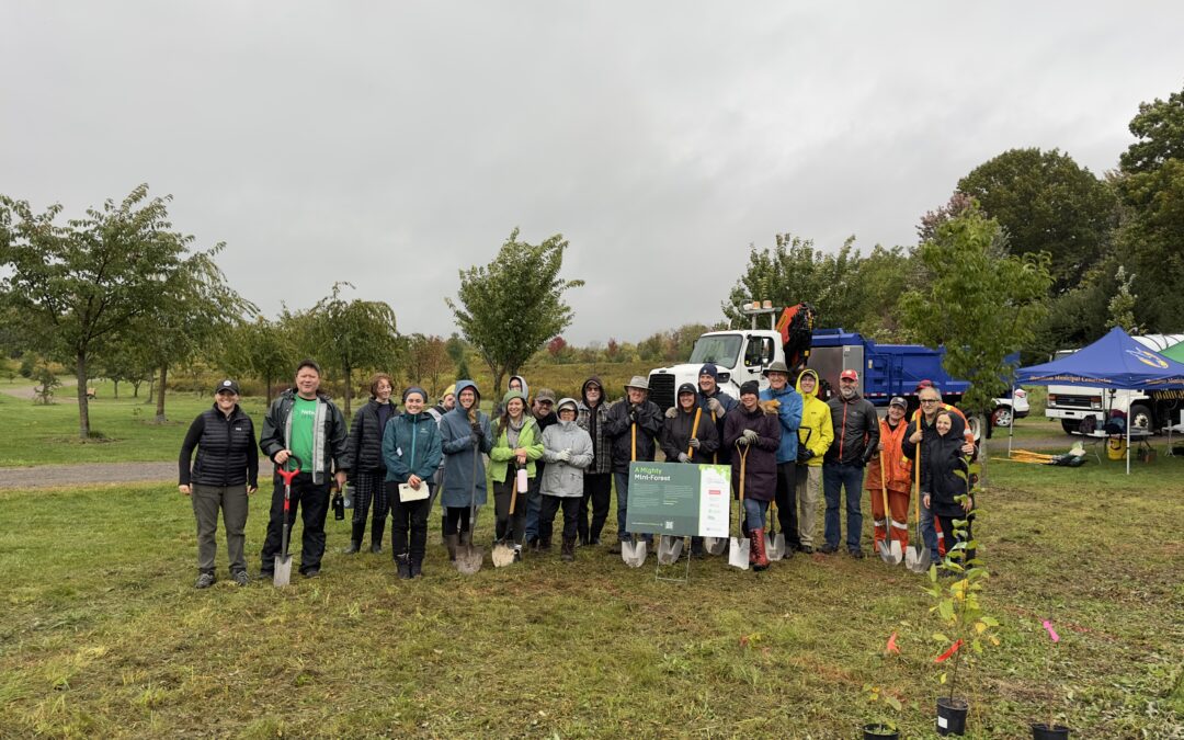 City of Hamilton Plants 900 trees and shrubs as a Mini Forest at Johnson Tew Park