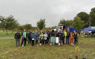 City of Hamilton Plants 900 trees and shrubs as a Mini Forest at Johnson Tew Park