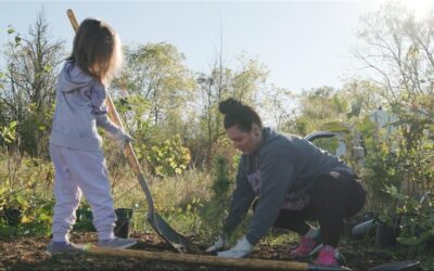 Mini Forests revitalize the Ontario Greenbelt in 2024