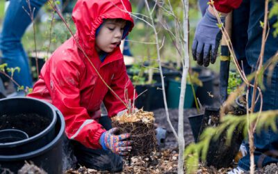 Voices for Action – Growing the Mini Forest Movement in Canada