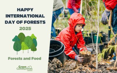 Green Communities Canada Celebrates International Day of Forests!