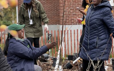 Two national charities celebrate Earth Day by teaming up to support 10 urban tree-planting projects