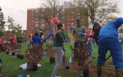 Living Cities: Tackling Food Insecurity Through Community Greening