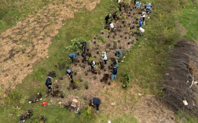 Green Communities Canada announces 36 recipients of the 2025 Living Cities Canada Fund