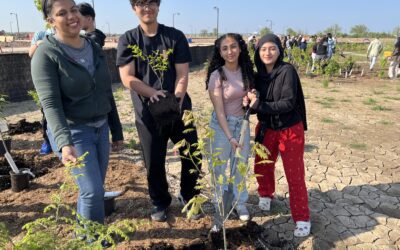 Digging Deeper: How Soil Health Research Supports  Canada’s Mini Forest Movement 