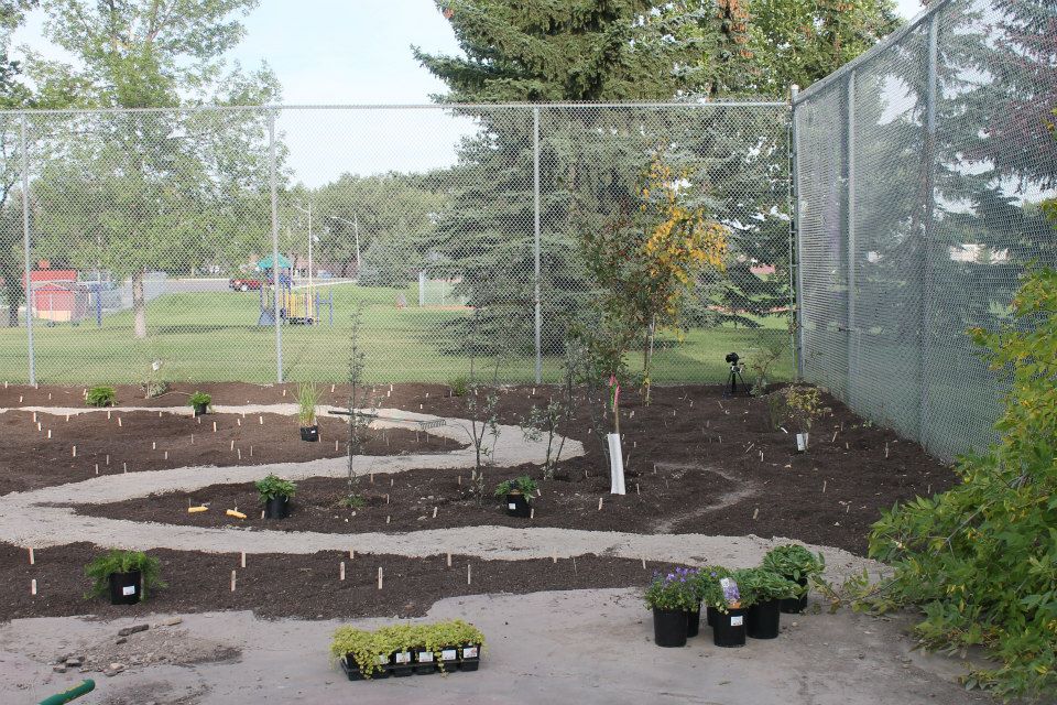 Newly planted community garden with mulch pathways, young trees, and several potted plants ready for planting.
