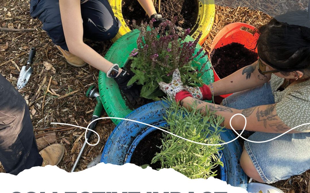 Celebrating Climate Action Day and Our Collective Impact