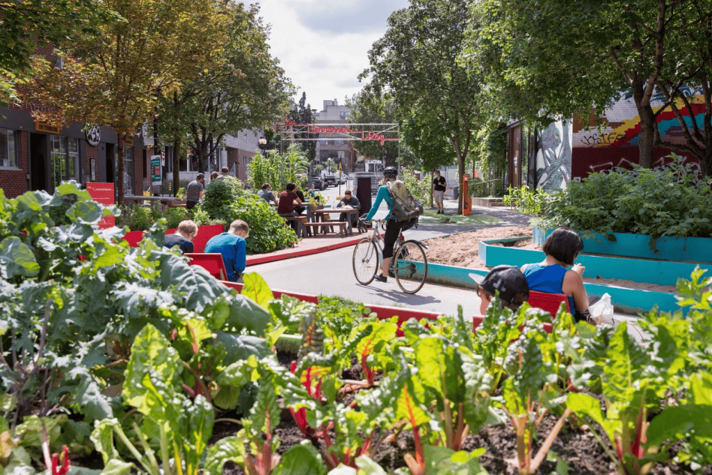 Terrases Roy in Montreal, summertime, with cyclist moving thru the greenspace and people enjoying benches, sunshine, and greenspace.