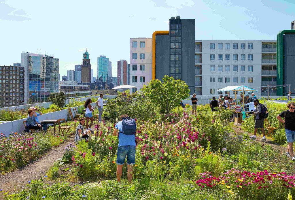 Lush, green rooftop gardens with people walking through them and a cityscape in the background.