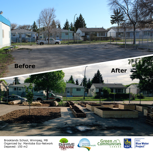 A before image showing a parking lot is shown beside an after image of a community garden consisting of several raised beds