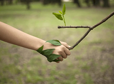Hand holding a leaf brand and the leaf wraps around the person's hand as if they are shaking hands together.