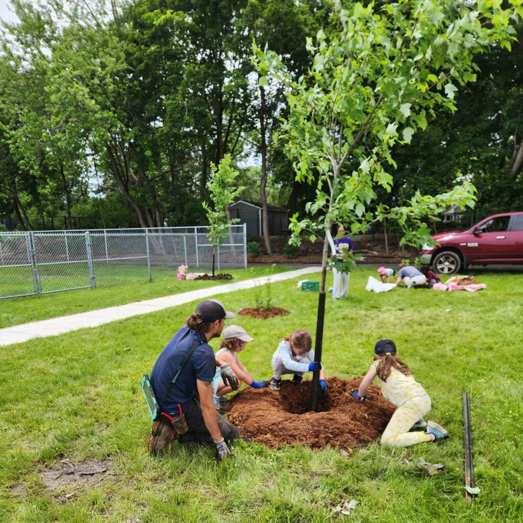 Children and an adult planting a young tree together in a grassy area.
