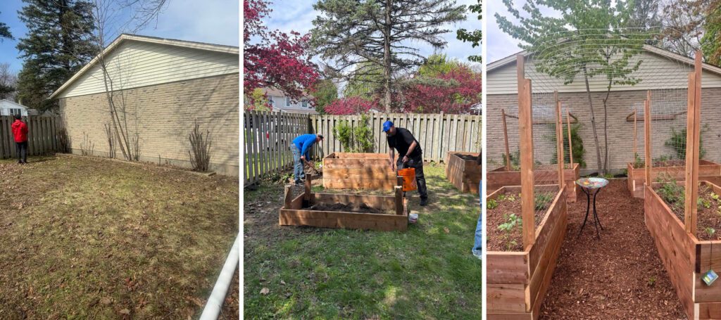 Before, during, and after photos showing the transformation of a community garden into raised garden beds.